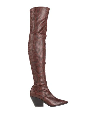 Shop Casadei Woman Boot Dark Brown Size 7 Leather