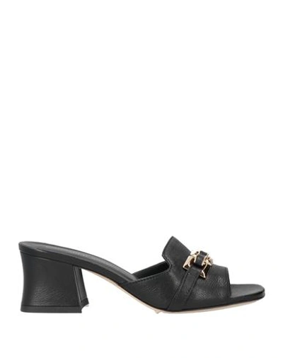Shop Gianmarco Sorelli Woman Sandals Black Size 6 Leather