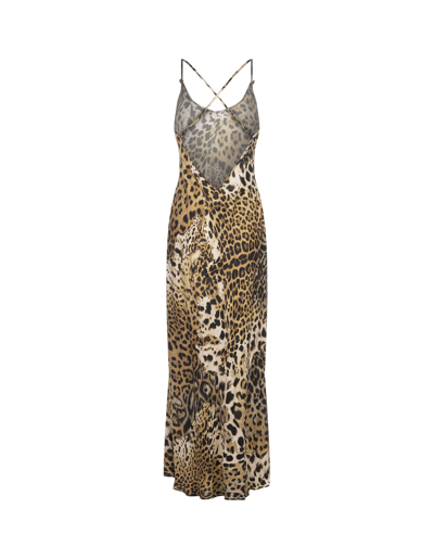 Shop Roberto Cavalli Lingerie Dress With Leopard Print In Brown