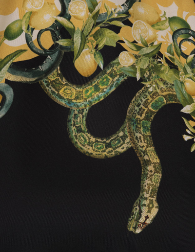 Shop Roberto Cavalli Black Top With Snake Print