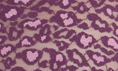 Shop Hanky Panky X-dye Leopard Print Lace Boyshorts In Black Tulip/ Lavender Tea