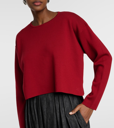 Shop Max Mara Angelo Wool Sweater In Red
