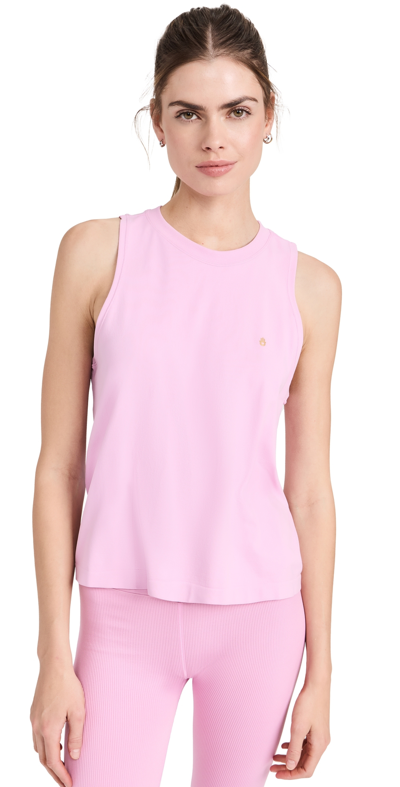 Shop Spiritual Gangster Elevate Seamless Muscle Tank Candy Pink