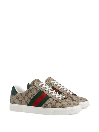 Shop Gucci Ace Gg Supreme Sneakers In Beige