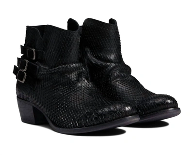 Shop Eric Michael Women's Carlita Boot In Black Python