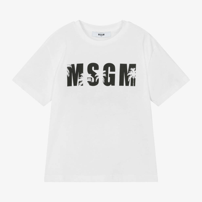 Shop Msgm Boys White Cotton Palm Tree T-shirt