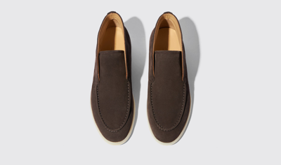 Scarosso Leonarda Brown Suede In Brown - Suede