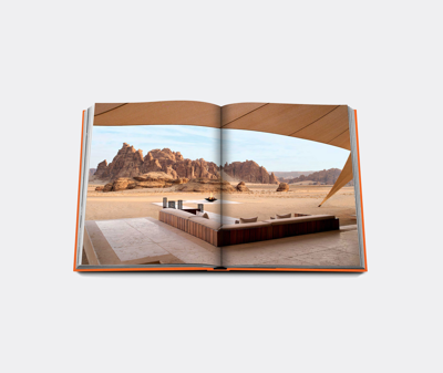 Assouline Books And City Guides Multicolor Uni In Multicolor
