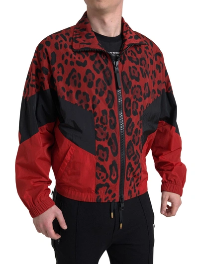 Shop Dolce & Gabbana Red Leopard Nylon Full Zip Sweater