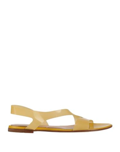 Shop Gianvito Rossi Woman Sandals Yellow Size 8 Plastic