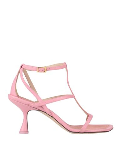 Shop Wandler Woman Sandals Pink Size 7 Lambskin