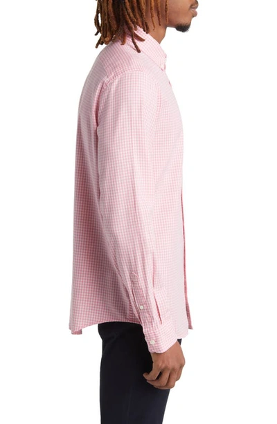 Shop Original Penguin Gingham Stretch Button-up Shirt In Wild Rose