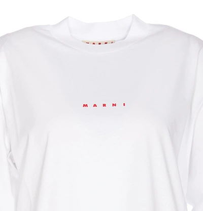Shop Marni T-shirts And Polos In Bianco