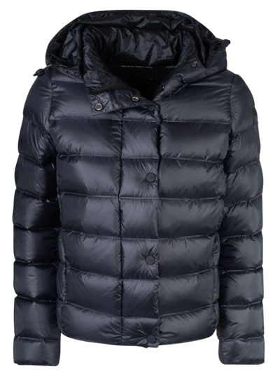 Shop Rrd - Roberto Ricci Design Superduck Hooded Padded Jacket In Black