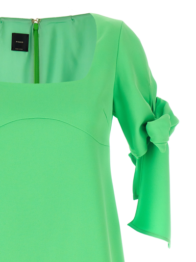 Shop Pinko Verdicchio Dress In Green