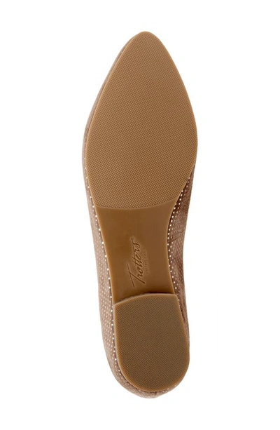 Shop Trotters Harlowe Flat In Taupe Dot Suede