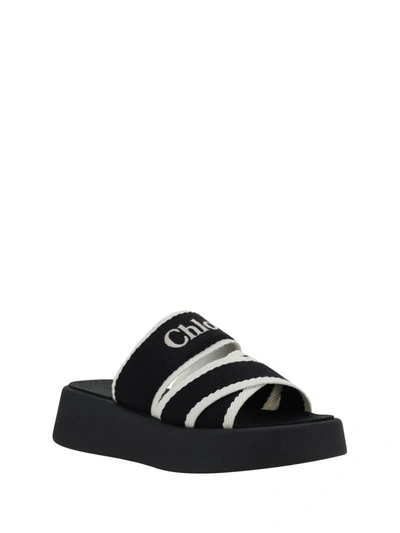 Shop Chloé Sandals In White Black 1