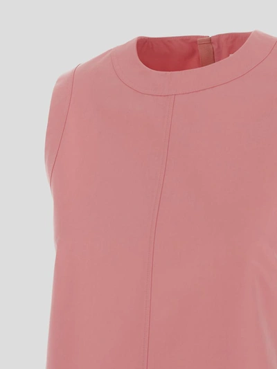 Shop Jil Sander Dresses In Pink