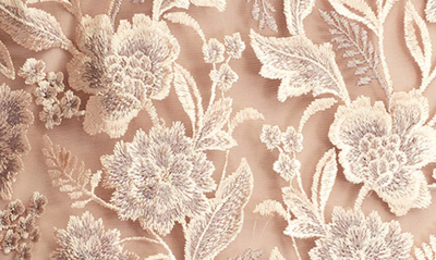 Tadashi Shoji Floral Embroidered Bateau Neck Gown In Pebble
