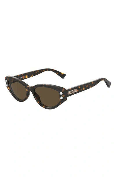 Shop Moschino 55mm Cat Eye Sunglasses In Havana/ Brown