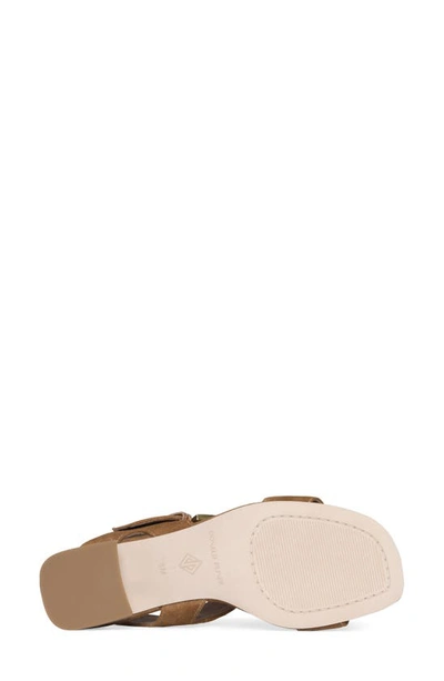 Donald Pliner Croc Embossed Heel Sandal In Saddle