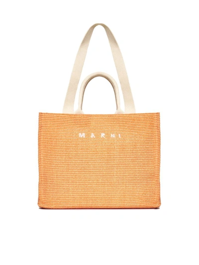 Shop Marni Bags In Arabesque