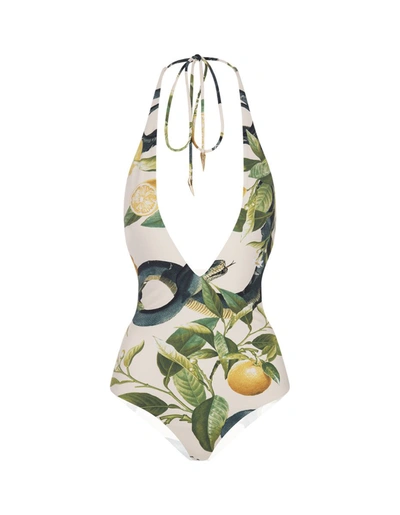 Shop Roberto Cavalli Ivory Bodysuit With Lemons Print In White