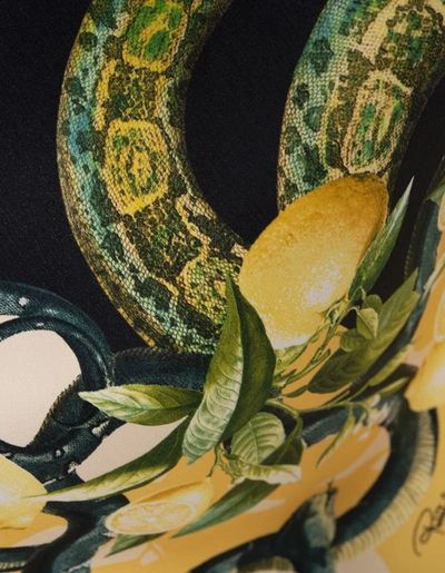 Shop Roberto Cavalli Long Dress With Snake Print In Black