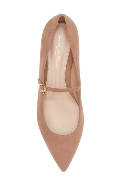 Shop Gianvito Rossi Ribbon Pointed Toe Mary Jane Ballet Flat In Praline