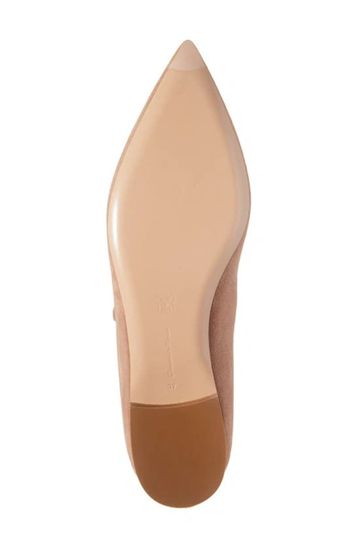 Shop Gianvito Rossi Ribbon Pointed Toe Mary Jane Ballet Flat In Praline