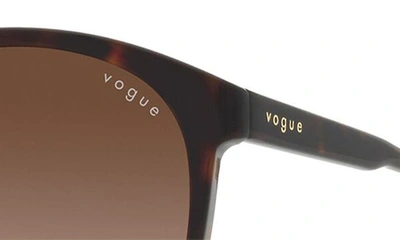 Shop Vogue 56mm Gradient Phantos Sunglasses In Dark Havana