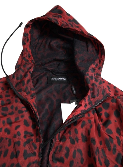 Shop Dolce & Gabbana Red Leopard Hooded Bomber Men's Jacket