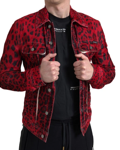 Shop Dolce & Gabbana Vibrant Red Leopard Print Denim Men's Jacket