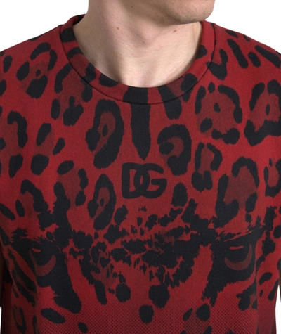Shop Dolce & Gabbana Red Leopard Print Cotton Tank Men's Top