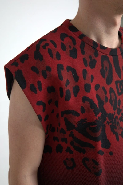 Shop Dolce & Gabbana Red Leopard Print Cotton Tank Men's Top