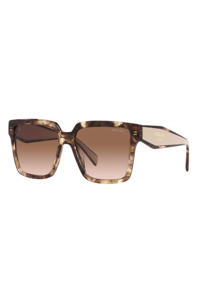 Prada 57mm Square Sunglasses In Brown Tort