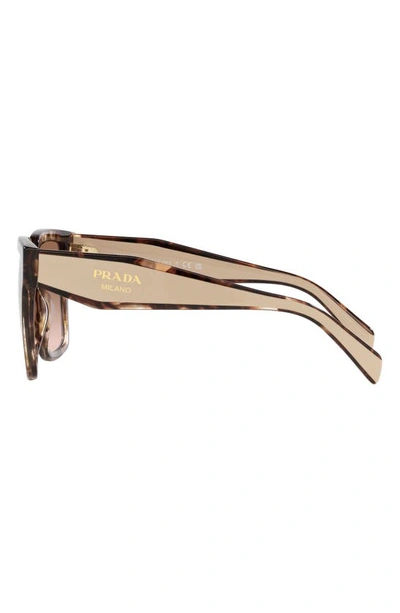 Prada 57mm Square Sunglasses In Brown Tort