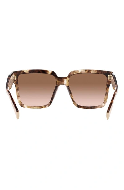 Shop Prada 57mm Square Sunglasses In Brown Tort