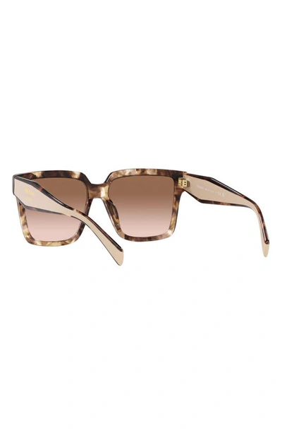 Shop Prada 57mm Square Sunglasses In Brown Tort