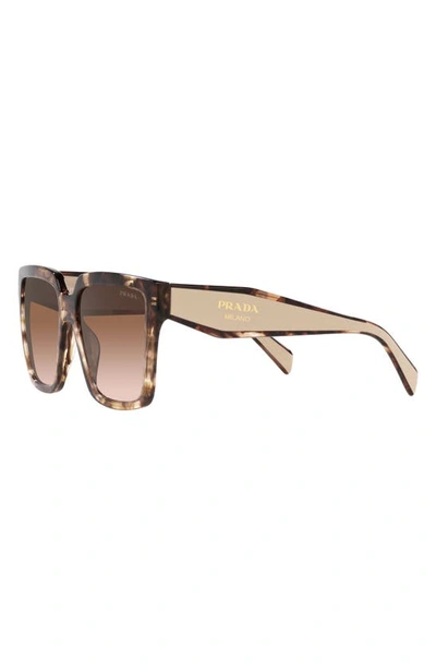 Shop Prada 57mm Square Sunglasses In Brown Tort