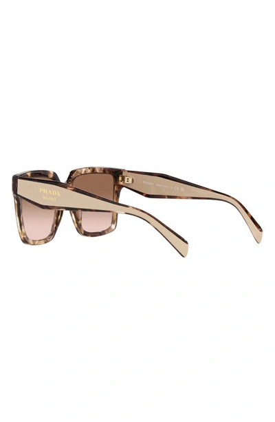 Shop Prada 57mm Square Sunglasses In Brown Tort