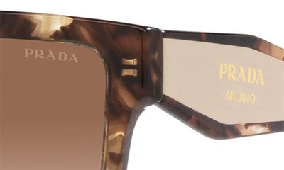 Shop Prada 57mm Square Sunglasses In Brown Tort