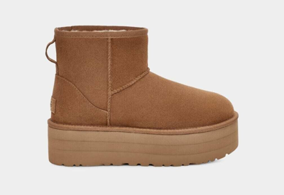 Pre-owned Ugg Authentic  Classic Mini Platform Chestnut 1134991 Women's Boots In Brown