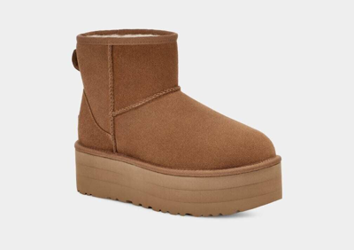 Pre-owned Ugg Authentic  Classic Mini Platform Chestnut 1134991 Women's Boots In Brown