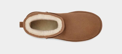 Pre-owned Ugg Authentic  Classic Mini Platform Chestnut 1134991 Women's Boots In Brown