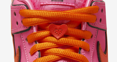 Pre-owned Nike Fd2631-600 The Powerpuff Girls  Sb Dunk Low Pro Qs Blossom Orange (men's) In Pink