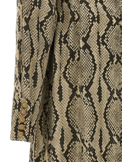 Shop Balmain Python Pattern Shirt Dress In Gray