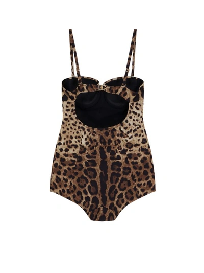 Shop Dolce & Gabbana One-piece Swimsuit With Iconic Animalier Motif In Black