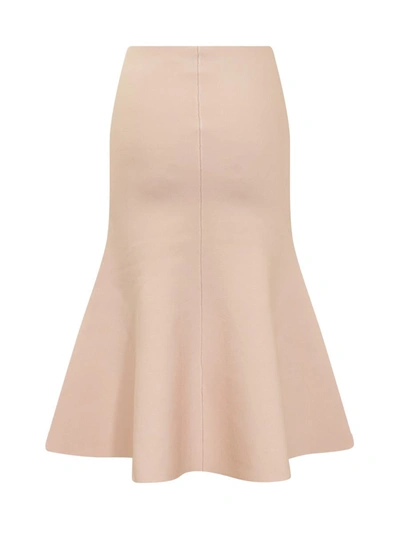 Shop Victoria Beckham Flared Skirt In Pink