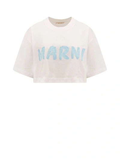 Shop Marni Cotton T-shirt With Frontal Logo In Neutrals